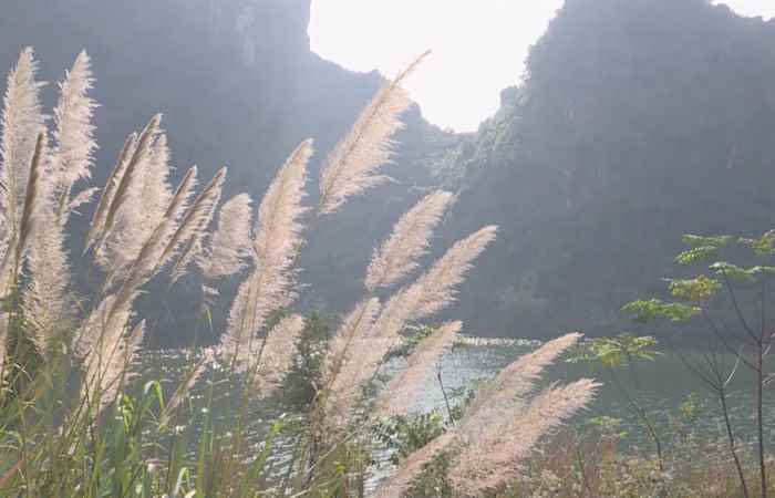 Dọc đường đất nước (19-11-2019)