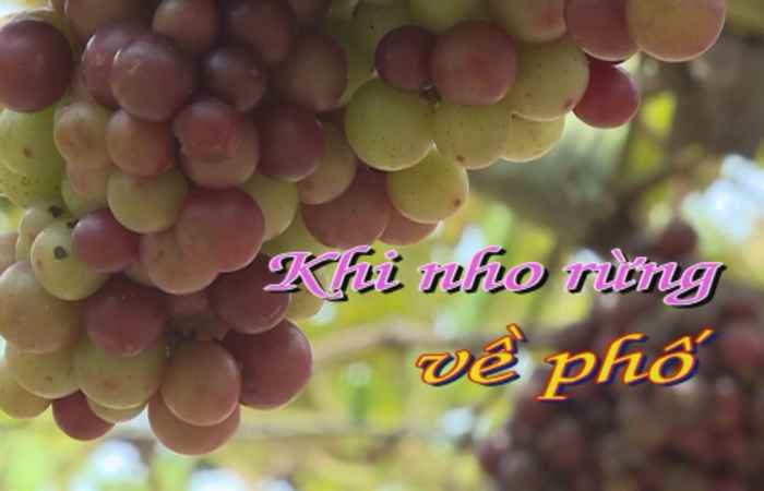 Dọc đường đất nước 24-04-2018