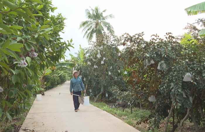  Đổi thay trên quê hương Phong Nẫm