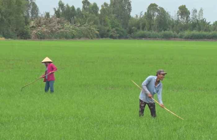 Đòn Bẩy Từ Chương Trình 135