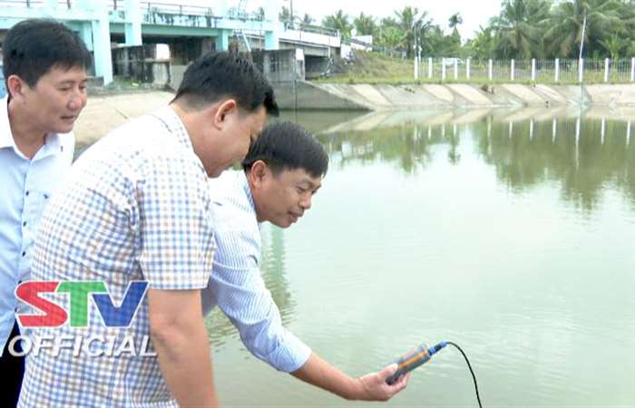 Đón Tết không quên đồng ruộng