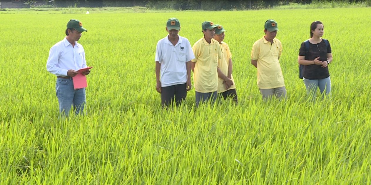 Đồng hành và chia sẻ 12-12-2016