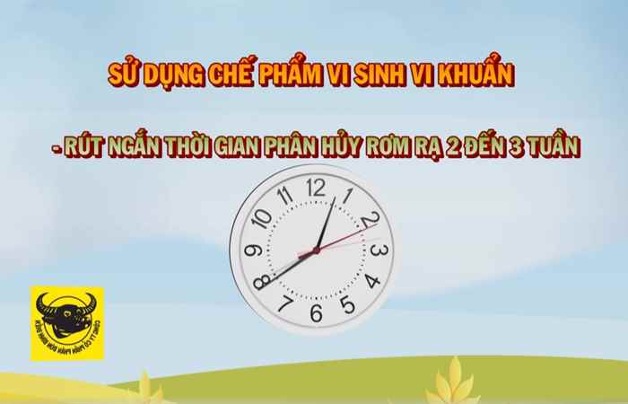 Đồng hành cùng nhà nông (06-04-2021)