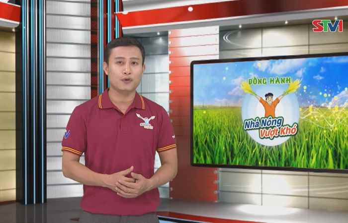 Đồng hành cùng Nhà nông vượt khó 03-06-2018