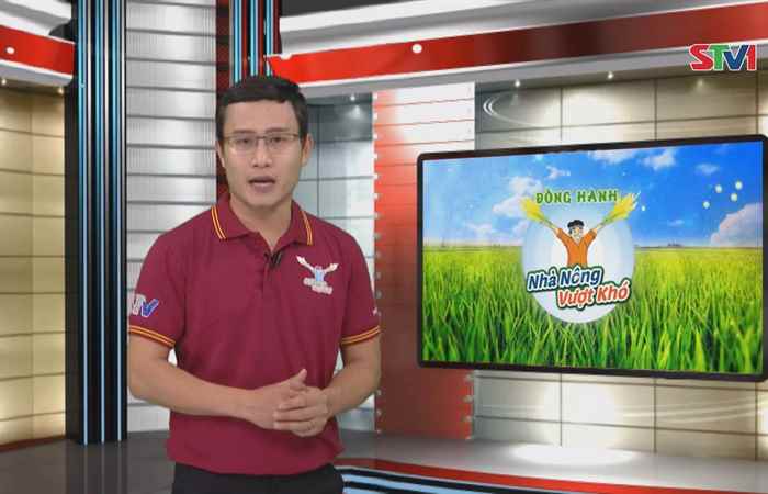 Đồng hành cùng Nhà nông vượt khó 08-04-2018