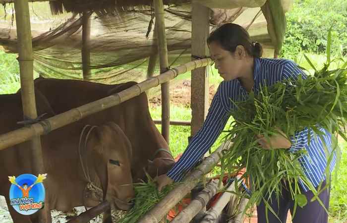 Đồng hành cùng Nhà nông vượt khó 09-09-2018