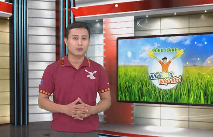 Đồng hành cùng Nhà nông vượt khó 10-06-2018