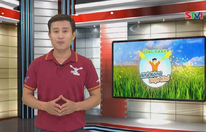 Đồng hành cùng Nhà nông vượt khó 11-11-2018