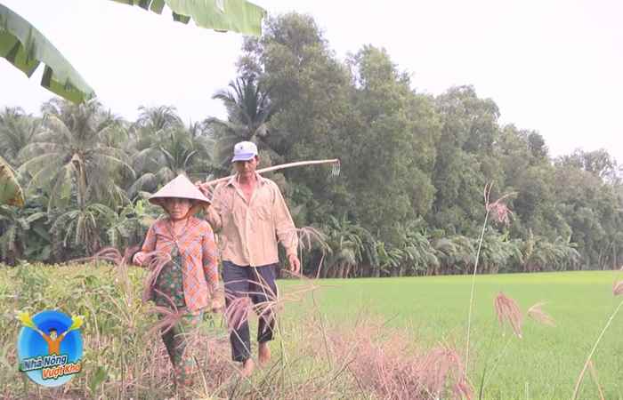 Đồng hành cùng Nhà nông vượt khó 13-01-2019