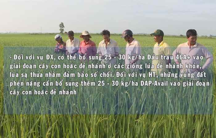 Đồng hành và chia sẻ 11-12-2017