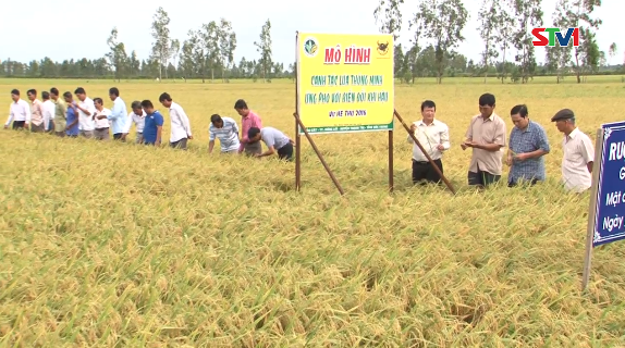 Đồng hành và chia sẻ 10-10-2016
