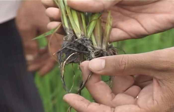 Đồng hành và chia sẻ 24-04-2017