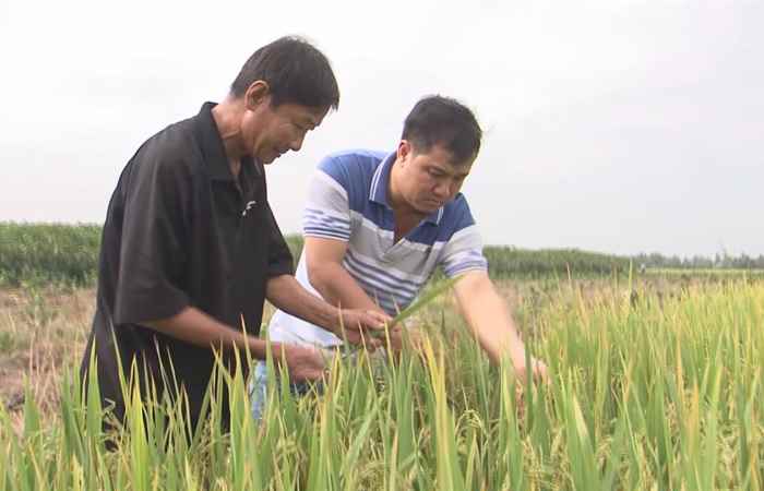Đồng hành và chia sẻ 25-12-2017