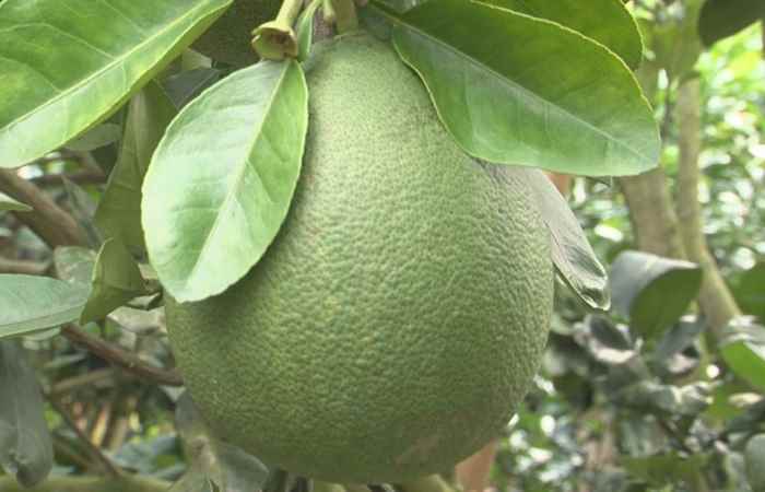Đồng hành và chia sẻ 27-11-2017