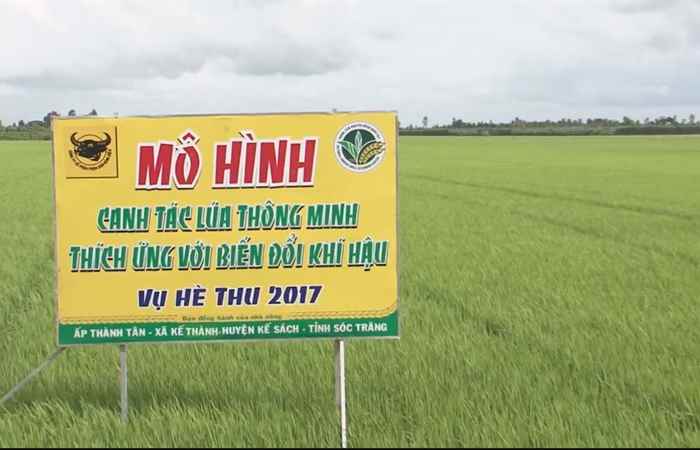 Đồng hành và chia sẻ - làm thế nào để có đòng lúa to 24-07-2017