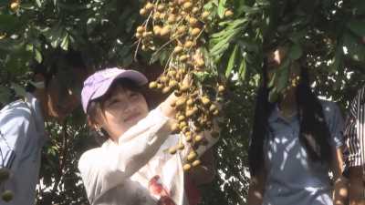 Du lịch Sóc Trăng 18-04-2016