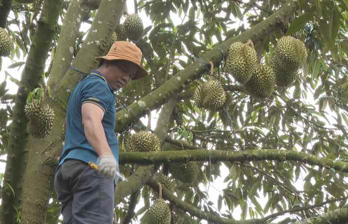  Giải pháp nông nghiệp xanh (05-07-2023)
