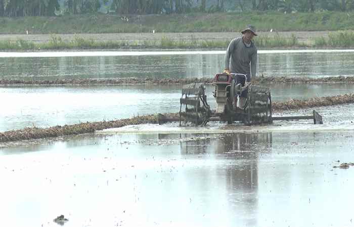 Giải pháp phòng, chống hạn, mặn trên cây trồng mùa khô năm 2023-2024 (09-01-2024)