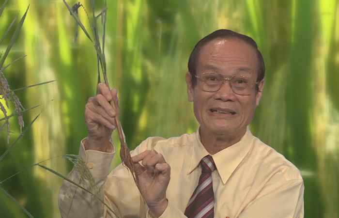Giải pháp vô gạo liên tục 18-01-2018