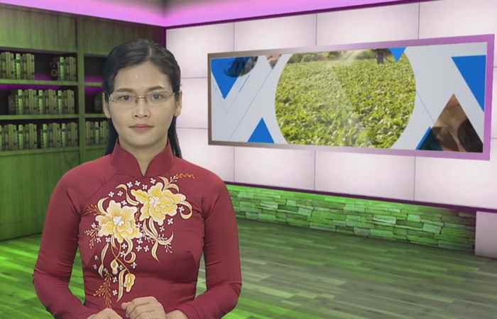Giảm nghèo 22-11-2018