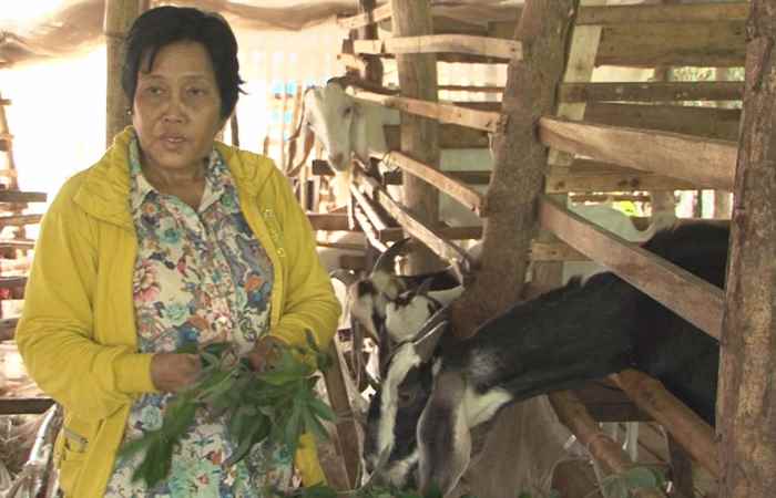 Giảm nghèo - Sóc Trăng thành công trong giảm tỷ lệ hộ nghèo dưới 5% (26-12-2019)