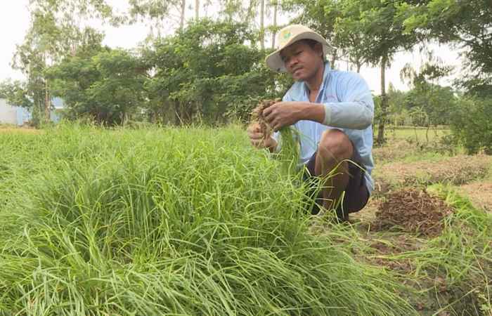 Giảm nghèo - Vai trò của cán bộ cơ sở trong công tác giảm nghèo (07-11-2019)