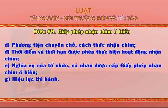 Giới thiệu Pháp luật Việt Nam 05-07-2017