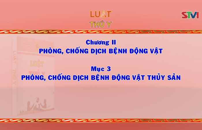 Giới thiệu Pháp luật Việt Nam 07-10-2017
