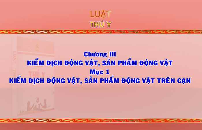 Giới thiệu Pháp luật Việt Nam 11-10-2017