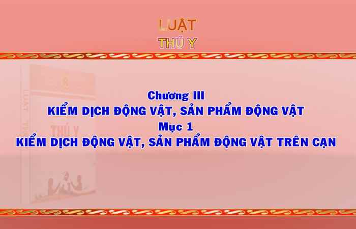 Giới thiệu Pháp luật Việt Nam 12-10-2017