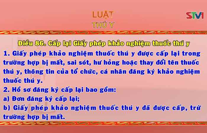 Giới thiệu Pháp luật Việt Nam 21-10-2017