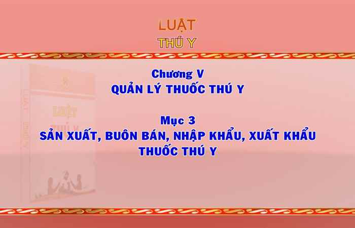 Giới thiệu Pháp luật Việt Nam 24-10-2017