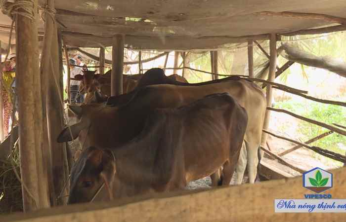 Gương điển hình tiên tiến 29-08-2017