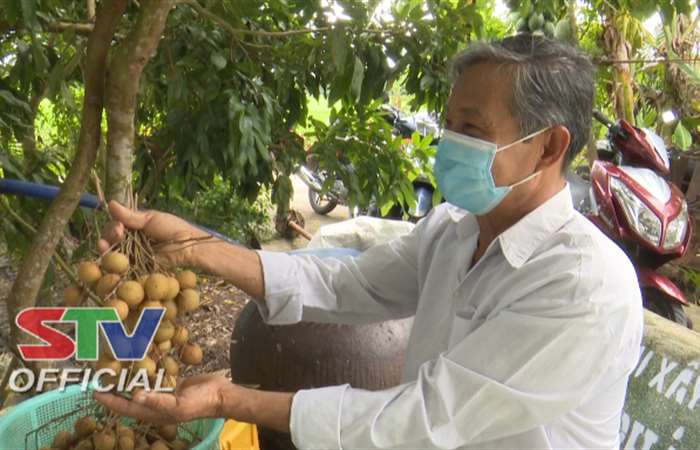 Gương sáng đóng góp xây dựng Nông thôn mới
