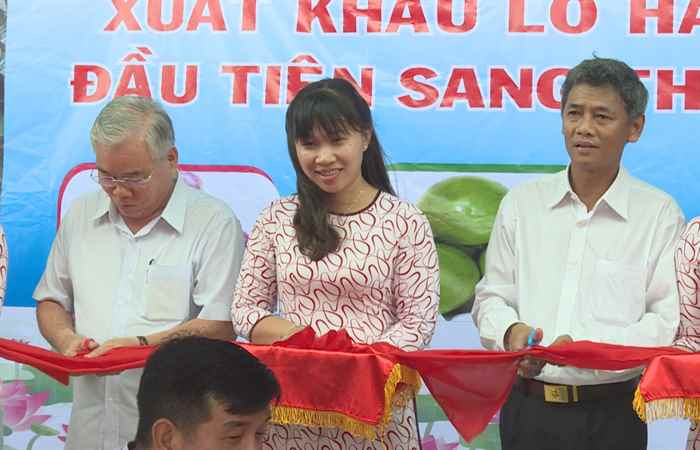 Hành trình vượt “ao làng” của trái vú sữa tím