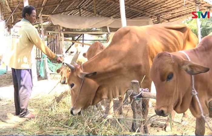 Hiệu quả từ nguồn vốn hỗ trợ hộ nghèo, hộ cận nghèo phát triển kinh tế   