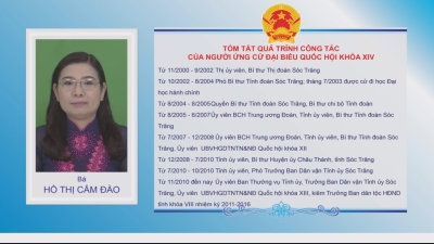 Tiểu sử tóm tắt và chương trình hành động của các ứng cử viên đại biểu Quốc Hội khóa XIV đơn vị bầu cử số 2