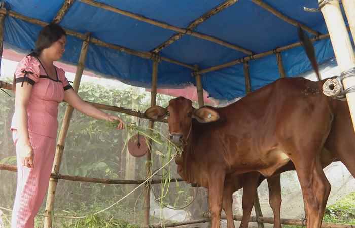 Châu Thành – Giải ngân vốn các chương trình MTQG góp phần đổi thay đời sống bà con đồng bào dân tộc (28-12-2023)
 