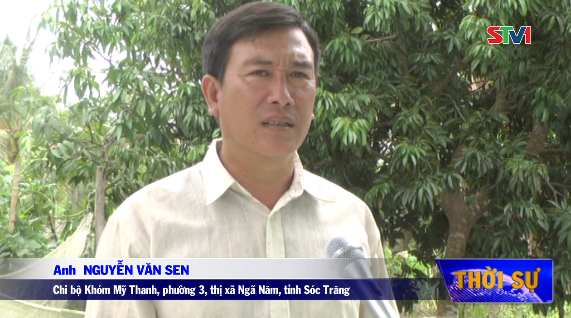Gương điển hình tiên tiến - Mô hình phát triển kinh tế và tiết kiệm ở Đảng bộ phường 3, TX Ngã Năm 12-10-2016