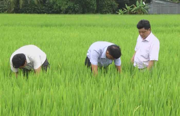 Phòng kinh tế Ngã Năm học tập theo gương Bác 13-05-2018