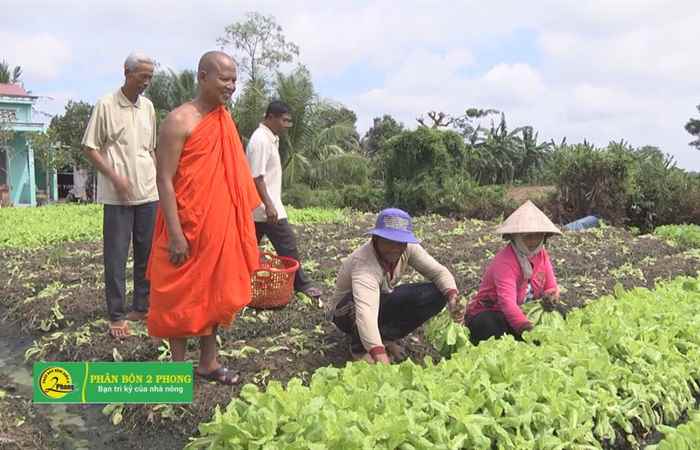 Hội Đoàn Kết Sư Sãi Yêu Nước Thực Hiện Phong Trào Thi Đua Yêu Nước
