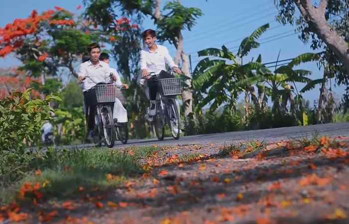 Hương sắc Sóc Trăng - Sắc hoa phượng thắm 03-06-2017