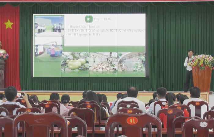 Huyện Châu Thành đã xuống giống hơn 16.000ha lúa Hè Thu