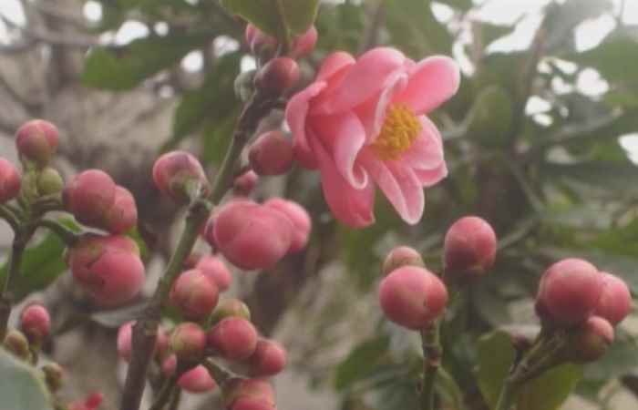 Khám phá miền tây 24-05-2017
