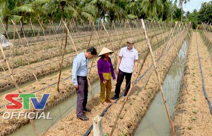 Khảo sát địa điểm triển khai mô hình trồng rau màu theo công nghệ mới