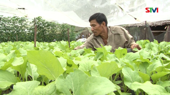 Khoa học và Công nghệ 13-08-2016