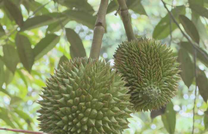  Chuyên mục: Khoa học và Công nghệ (01-09-2022)