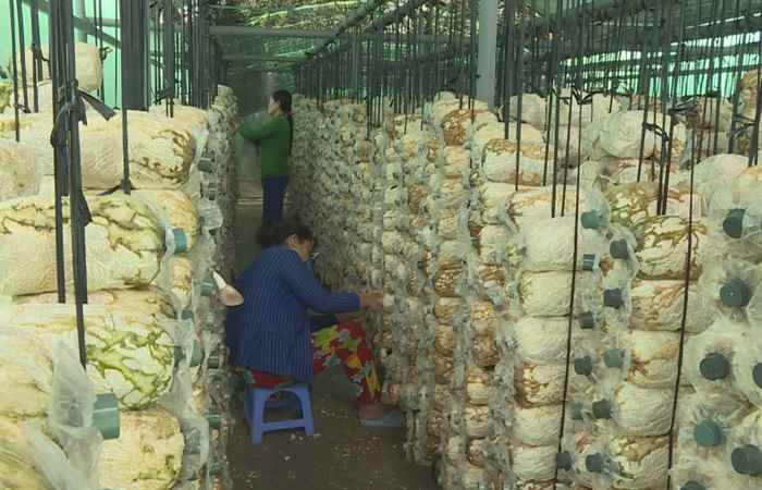 Khoa học và Công nghệ (06-05-2021)