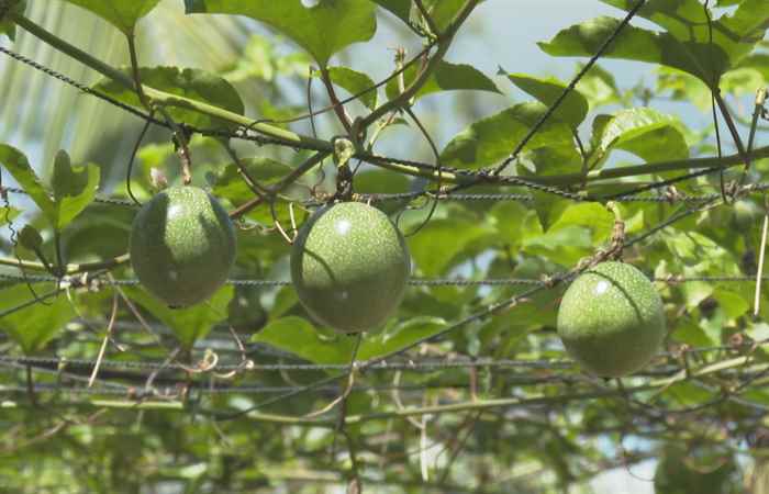 Ứng dụng tiến bộ khoa học và công nghệ góp phần nâng cao năng lực cho doanh nghiệp (06-07-2023)
