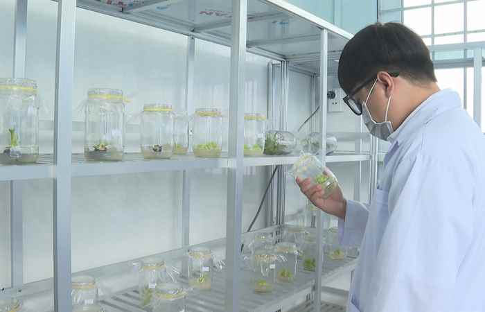 Chuyên mục: Khoa học và Công nghệ (06-10-2022)
 